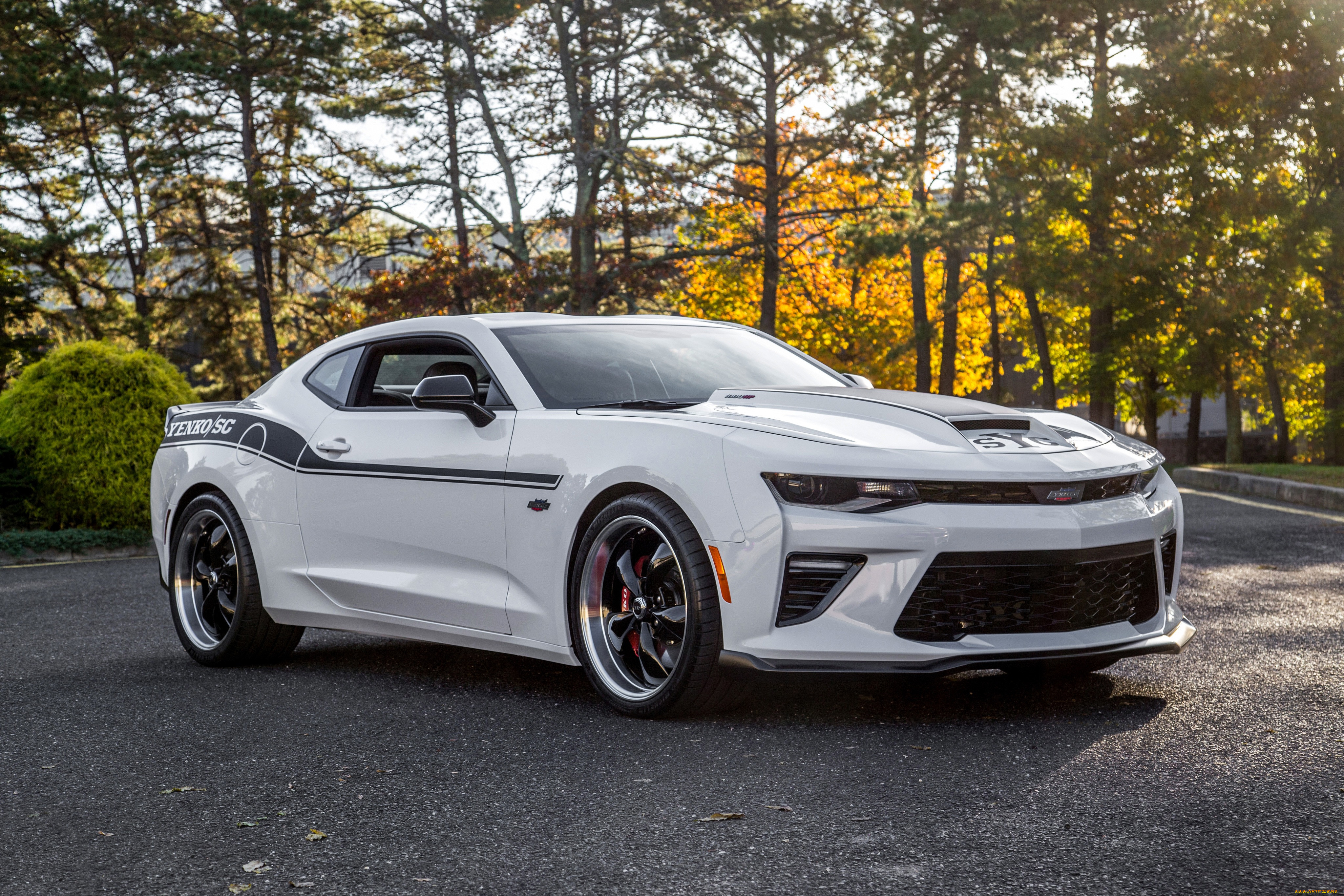 sve chevrolet camaro yenko , 2018, , camaro, sve, chevrolet, yenko, , , 